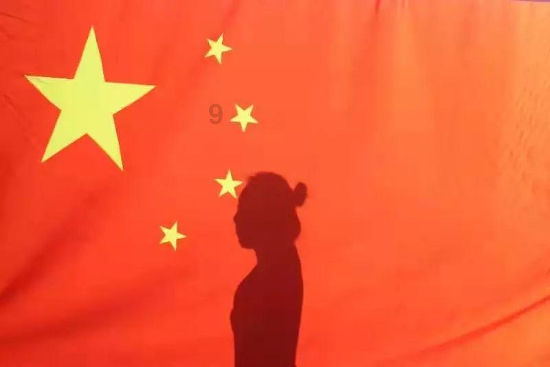 飞天小猪仔
