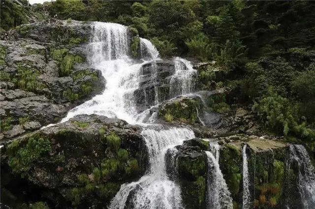 中餐厅之小凯厨神