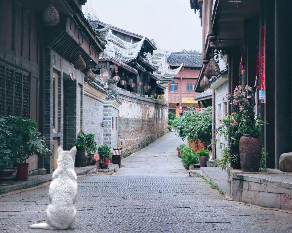 飞跃沙丘的小球