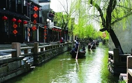 拯救可爱小浣熊